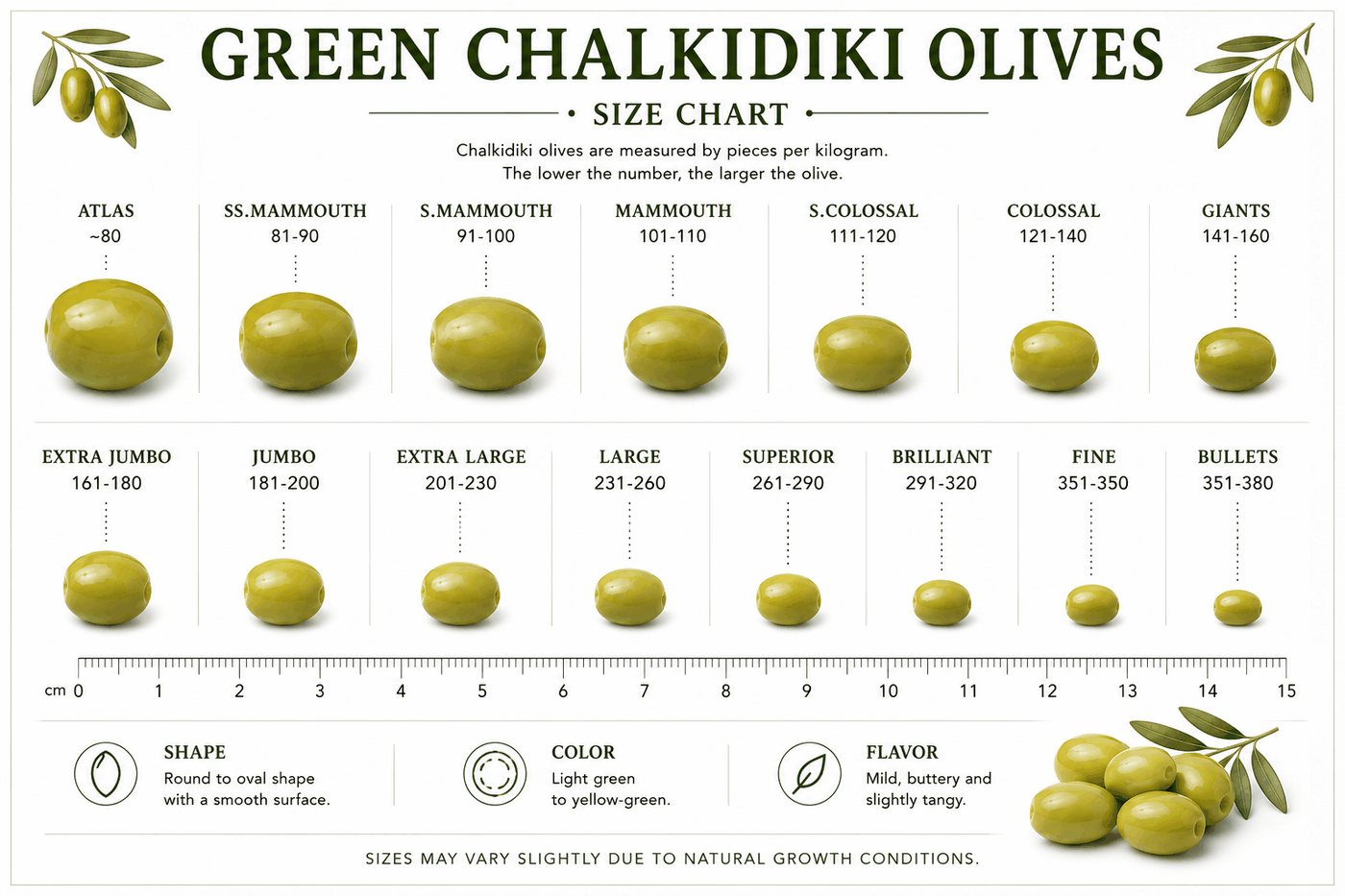 Green Halkidiki Olive Size Guide, commercial sizing chart showing olive count per kilogram from Atlas and Super Colossal down to Bullets, with a centimetre ruler for reference.